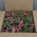 2 Pack Artificial Christmas Garland String Lights with 162 Snowy Red Berries 55 Green Leaves 20 LED Lights Battery Operated for Xmas Mantle Indoor Outdoor Holiday Christmas Decoration