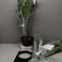 Artificial Dracaena Plant Indoor 5FT - Fake Tree with White Tall Planter - Faux Yucca Tall Fake Floor Plant in Pot - Artificial Trees for Home Office Living Room Decor Indoor