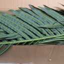 Nearly Natural 4ft Golden Cane Palm, Double Stalk Artificial Tree With Lush Realistic Foliage Maintenance Free Indoor Faux Palm Plant For Living Room, Easy Setup, Perfect Tropical Decoration