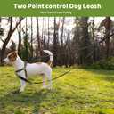 Two Point Control Dog Leash Soft Padded and Reflective Nylon Walking Lead No Tangle Training Leashes Converts to Single Lead Works with No Pull Harnesses for Medium Large Dogs (Black)