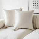 Demetex White Decorative Pillow Covers 18x18 Soft Velvet Throw Pillows for Couch Square Plush Pillow Cases for Living Room Bedroom Sofa, Set of 2, 18 x 18 inch, Ivory