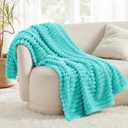 Bedsure GentleSoft Blue Fog Fleece Blanket for Couch - Cozy Soft Blankets for Women, Cute Small Throws for Girls, 50x60 Inches