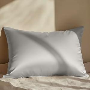 Mellanni Pure Silk Pillowcase Standard Size - Perfect for Hair and Skin, Preventing Wrinkles - Easy Care - Naturally Cooling Silk Pillow Cover with Hidden Zipper (Standard, Light Gray)