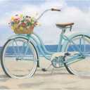 DI NV BEACH CRUISER 22X28
