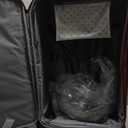 SWISSGEAR Sion Softside Expandable Spinner Luggage Durable Lightweight Travel Suitcase, Merlot, Checked-Large 29-Inch