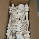 JOYIN 2PCS 36" Halloween Skeleton Decor, 3FT Full Body Stayable Movable Joints, Posable Hanging Skeletons for Halloween Decoration, Yard, Graveyard, Haunted House Props, Spooky Scene Party Favor (Yellow)