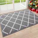 Finchitty Indoor Door Mat, Dirt Resistant and Absorbent, Low-Profile, Non-Slip, Washable Inside Floor Mats for Front Door, Back, and Entrance, 36" x 24", Grey