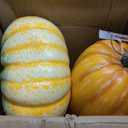 2Pack Large Fake Orange‑White‑Green&Orange Faux Pumpkins, Realistic Lifelike Harvest Fall Decoration, Hard Foam Vegetable Ornament for Halloween Autumn Festival Home Table Porch Outdoor Decor
