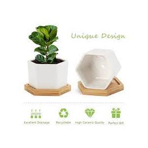 Small White Succulent Planter Pots with Bamboo Tray Hexagon Set of 3