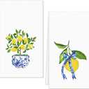 FYSUIMU Lemon Kitchen Dish Towel 18 x 28 Inch Blue Yellow Lemon Dishcloth Spring Summer Decorative Hand Drying Tea Towel for Seasonal Cooking Baking Cleaning, 2 Pcs
