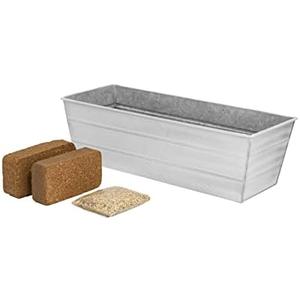 Achla Designs Bloom Box Garden Growing Kit, Medium White