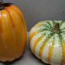 2Pack Large Fake Orange‑White‑Green&Orange Faux Pumpkins, Realistic Lifelike Harvest Fall Decoration, Hard Foam Vegetable Ornament for Halloween Autumn Festival Home Table Porch Outdoor Decor