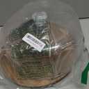 LiTY Cake Stand with Lid, Acacia Wood 12in Round Cake Holder, 2-in-1 Dessert Table Display Set & Charcuterie Board for Cheese, Chips & Dips, Nachos, Fruit Platter, Large Acrylic Cake Dome Cover