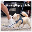 rabbitgoo Dog Harness Small Sized and Leash Set, Step in Soft Light Puppy Vest, Breathable Mesh Pet Harness, Reflective for Safe Outdoor Walking, Navy Blue S