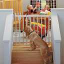 Toddleroo by North States - Stairway Swing Wooden Baby Gate: Wood Baby Gate for Stairs - Adjustable 28 to 42 Inches Wide - 30 Inches Tall