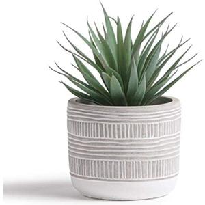 Kurrajong Farmhouse Artificial Plant | 8" Fake Plant for Desk Decor | Artificial Succulent in Pot | Fake Succulent | Faux Plant Indoor | Artificial Greenery for Shelf Decor