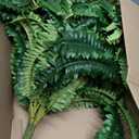 FOREST PRINCE 45" Fake Ferns, Realistic Large Artificial Bush Plants, 2 Artificial Boston Ferns with 59 Fronds for Outdoors Planter Indoor Home Garden Porch Decor