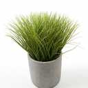 Summer Lifestyle Greenery Decorative Plant, 8"
