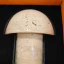 Natural Stone Mushroom Lamp - Handcrafted Travertine Night Light, Rechargeable with Type-C, Dimmable LED Accent Light for Bedroom & Living Room
