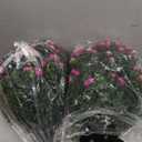 Yunlly Set of 2 Artificial Boxwood Topiary Ball Tree 27 Inch Outdoor Boxwood Balls with Flower Faux Bush, UV Resistance Fake Shrub Plant with Spike for Garden Porch Patio Decor(Pink, 27x18inch)