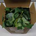 Hoteam 2 Pcs 71 inches Artificial Ivy Vines Garland Green Fake Ivy Garland Faux Hanging Plants with Silk Leaves Greenery Spring Decor for Indoor Outdoor Wedding Home Room Wall Decor