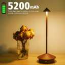 2 Pack Cordless LED Table Lamp, Rechargeable 5200mAH Battery Operated Lamp for Decor, 3 Color Stepless Dimming Desk Lamps, for Restaurant, Bedroom, Outdoor Camping, Coffee Shop, Night Light