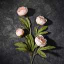 Waipfaru 6 Pcs Faux Peonies Artificial Flowers for Vase, 27" Fake Silk Peonies Flowers for Wedding, Vase Filler Flowers for DIY Bouquets Centerpieces Bridal Shower Office Decor- Mixing