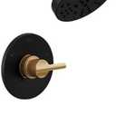 Delta Faucet Nicoli 14 Series Single-Handle Tub and Shower Faucet, Shower Trim Kit with 5-Spray H2Okinetic Shower Head, Matte Black/ Champagne Bronze 144749-GZ (Shower Valve Included)