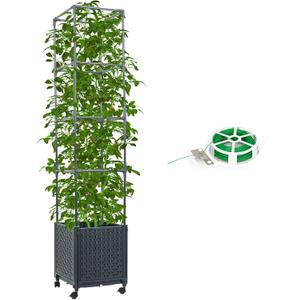 Raised Garden Bed with Tomato Cage 56.7 Self Watering Tomato Planter Boxes with Trellis Wheels for Outdoor Climbing Flowers Vegetable Vine Vegetables