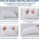 Goose Feather Pillows Standard Size Set of 2, Ultra Soft 700 TC Organic Cotton Shell, 900 FP Down Pillow for Sleep, Luxury Hotel Collection Bed Pillows 2 Pack for Side Back Stomach Sleepers, 18"x26"