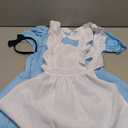 fun shack Alice in Wonderland Costume Kids, Alice Costume Girls, Book Characters Costumes for Kids (Medium)