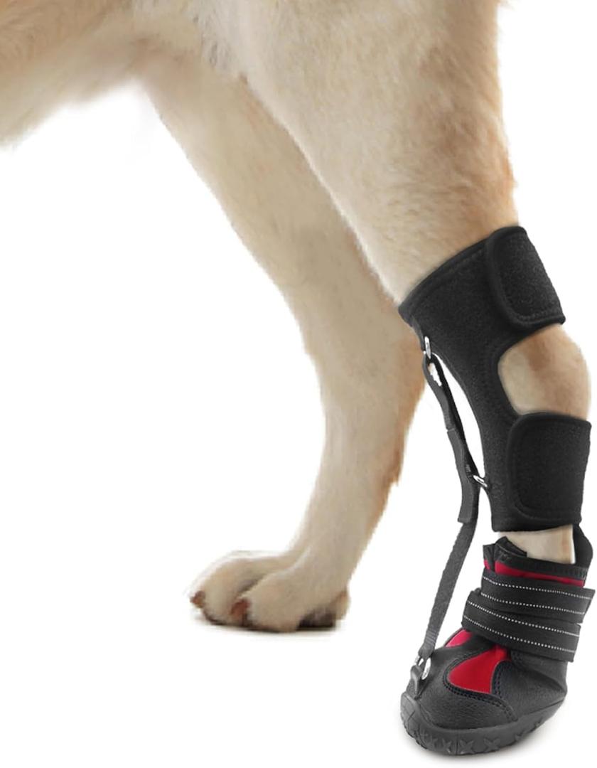 Strap-On Drop Foot Brace (No Knuckling Boot Brace) for Dogs Corrective Dog Shoes to Safely Lift Toes for Foot Issues, Arthritis, and improving Walking gait in Dogs(M)
