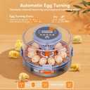 Automatic Egg Incubators for Hatching Eggs, 12 Egg Incubator with Automatic Egg Turning and Humidity Control, Egg Candler, 360 Viewing, Chicken Incubators for Hatching Chick, Duck, Quail, Goose Eggs