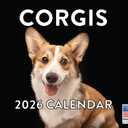 Corgi Calendar 2026 Wall Monthly Corgis Gifts For Corgi Lovers Women Men Mom Dad | American Made In The USA