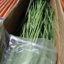 Faux 4ft 2-Pack Horsetail Reed Grass with Green Spikes, 48in Tall Indoor Outdoor Fake Grass in Pot, Home Office Decorative Artificial Plant & Greenery, Wedding Decor Bristlegrass