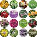 15g/Bag Dried Flowers,100% Natural Dried Flowers Herbs Kit for Soap Making, DIY Candle Making,Bath - Include Rose Petals,Lavender,Don't Forget Me,Lilium,Jasmine,Rosebudsand More(16 Bags)