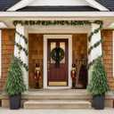 2Set 4FT Artificial Christmas Norfolk Pine Tree for Front Porch Decoration