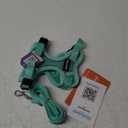 Halypet Cat Harness and Leash Set [MAX Safety 4th-Gen Upgrade] Escape Proof Adjustable Cat Leash Comfortable Soft Vest Easy to Wear Kitten Harness with Reflective Strip for Cats Walking, XS Green