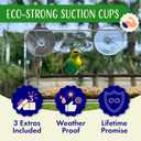 Window Bird Feeder by Natures Hangout - Award-Winning Clear Acrylic Bird Feeders for Outdoors, No Assembly, Strong Suction Cups, Bird Watching for Cats, Easy-to-Clean Birdhouse