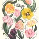 Tulips Wall Art 30"×24"