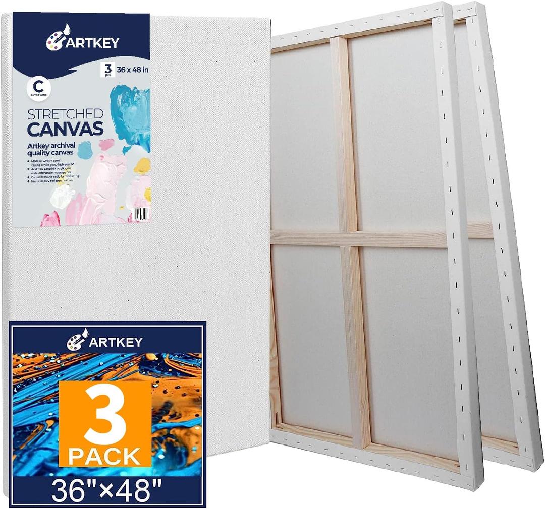 Large Canvases for Painting 36x48 Inch 3-Pack, 12.3 oz Triple Primed Acid-Free 100% Cotton Stretched Canvas, Blank Large Canvas for Oil Paint Acrylics Pouring & Wet Art Media