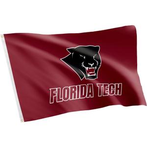 Desert Cactus Florida Institute of Technology FIT Flag - 3 x 5 Feet Panthers Banner, Indoor/Outdoor Durable Fabric, 100% Polyester Design (Style 1)