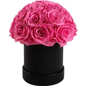 18 Preserved Flowers for Delivery Prime, Roses Dome Forever Flower Decor for Party Home Table Bedroom, Anniversary, Birthday, Wedding Gifts for Women Her (Pink)