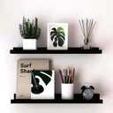 Long Floating Shelves for Wall Decor, Long Wall Mounted Storage Shelf for Bedroom, Living Room, Bathroom, Kitchen, Nursery, Display Picture Ledge Shelf with Lip Set of 2-24 Inches, Black