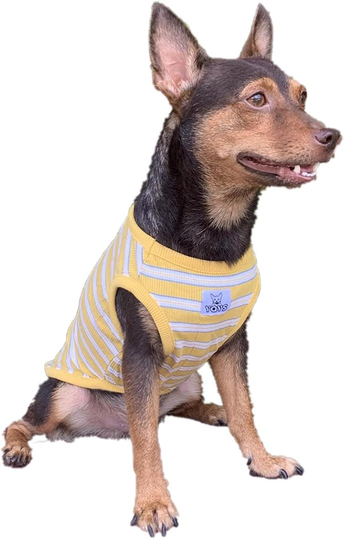 YQYS Dog Shirts Multi-Color Striped Cotton Vest for Small Dogs and Cats Puppy Clothes Teacup Dog Clothing Tank Top for Chihuahua Miniature Pinscher Yellow Medium