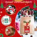 2 x Christmas Money Holders for Cash, 8Pcs Funny Xmas Decorations Ornaments Gifts for Christmas Decor Tree Hanging Accessories Money, for Grandkids & Teens