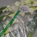 White Gladiolus Artificial Flowers 33.07 in Long Artificial Flowers Gladiolus Flowers 5 PCS Silk Gladiolus Flowers Fake Flowers Faux Gladiolus for Home Wedding Garden Arrangement Decor(White)