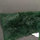 Dark Green Rug for Bedroom Living Room, Fluffy Small Area Rug Soft Shag Carpet for Kids Boys and Girls Room Home Decor 24x36 in