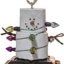 Midwest-CBK S'Mores Wrapped Up in Lights Resin, Christmas/Everyday Ornament