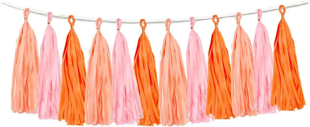 15PCS Pink Orange Peach DIY Tissue Tassel Garland Groovy Retro Party Tassel Banner Bunting Streamer for Girl Baby Shower Groovy Halloween Birthday Bridal Shower Nursery Classroom Wall Hanging Dcor